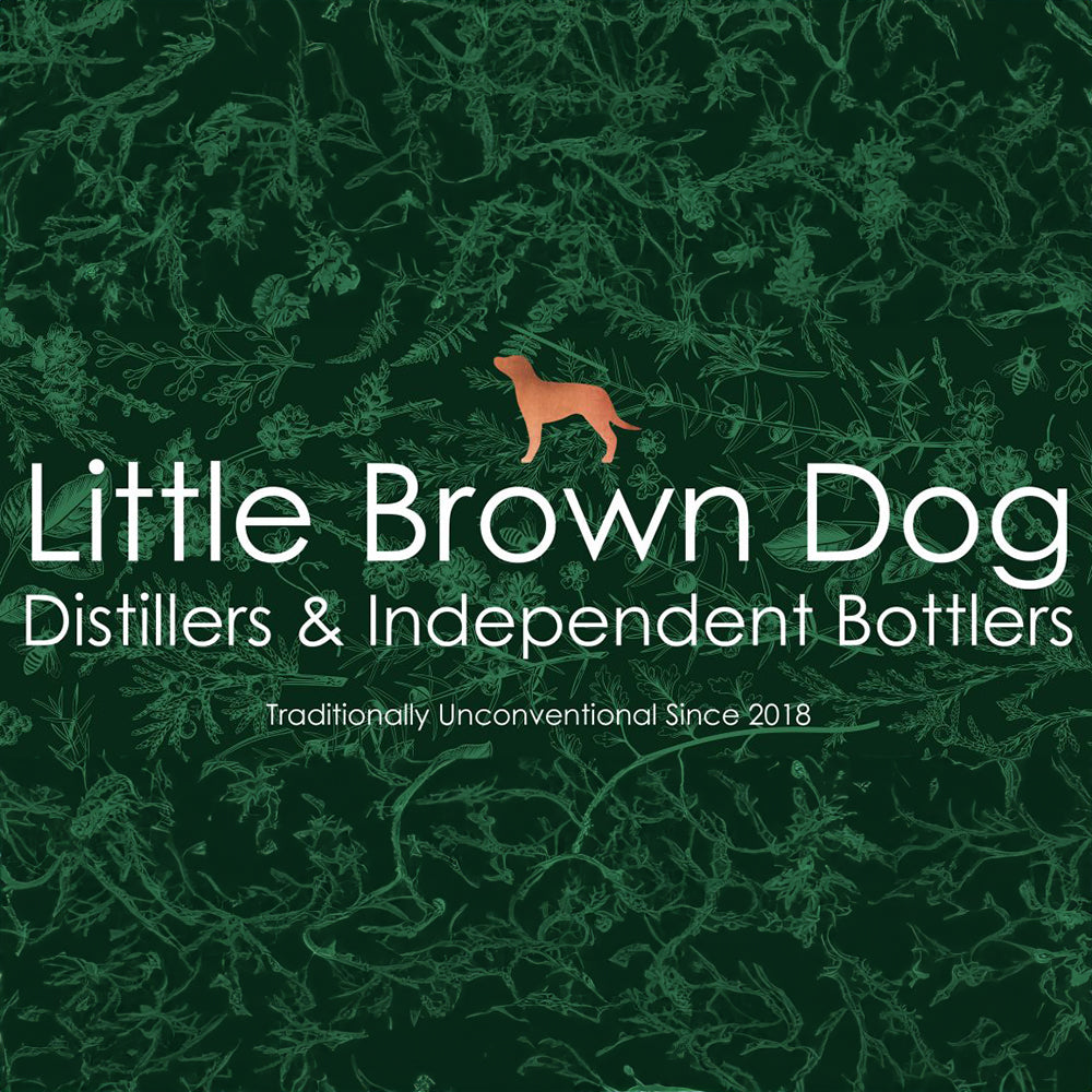 Little Brown Dog